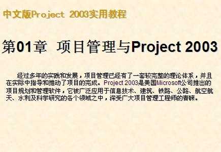 İProject 2003ʵý̳